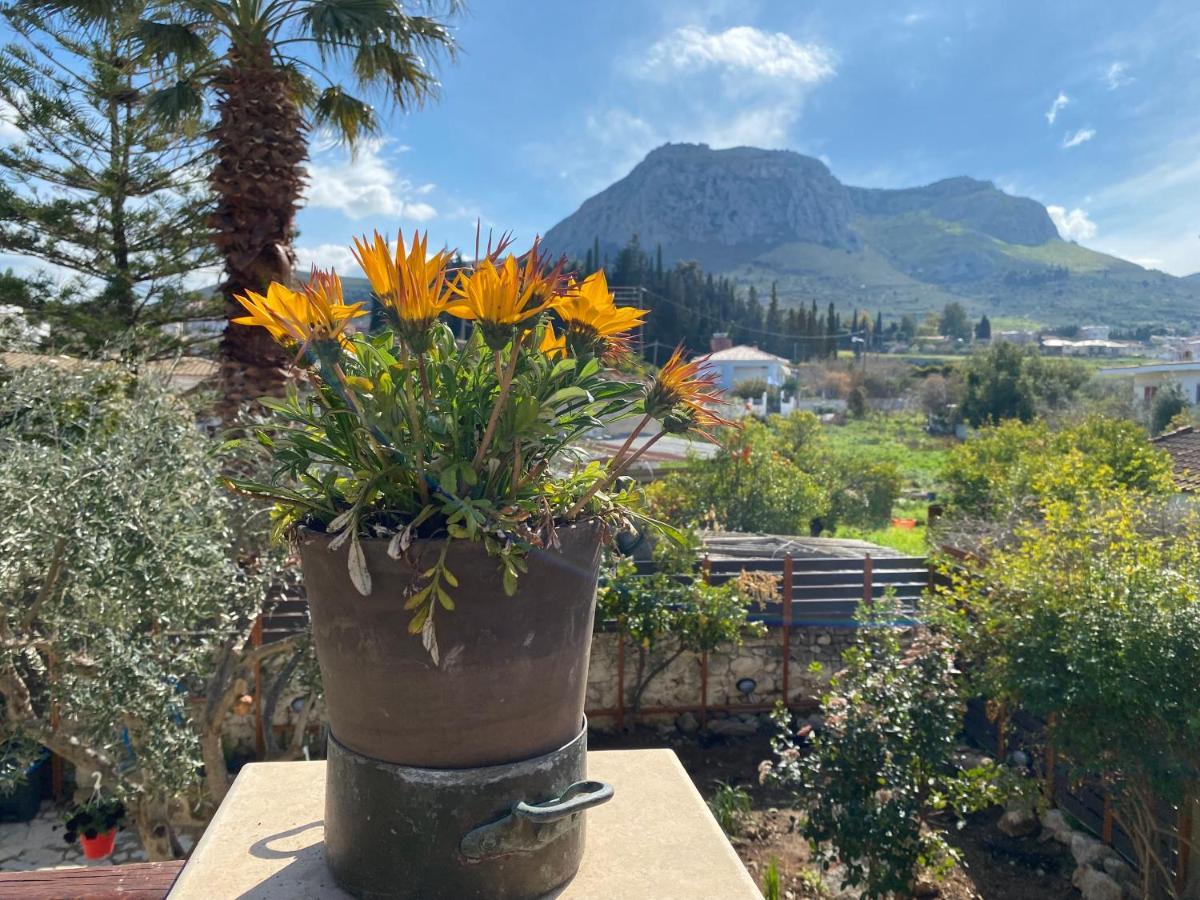 Pegasus House Hotell Corinth Eksteriør bilde